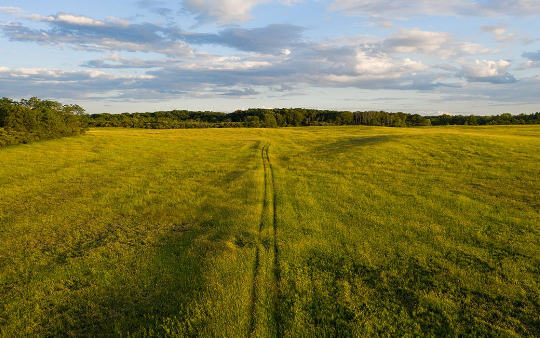 What Are the Types of Topographical Survey Tulsa?