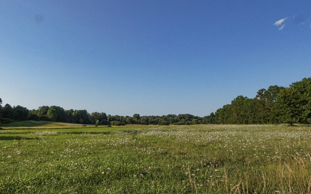 Understanding Property Benchmarks in a Topographical Survey Tulsa