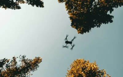 What Is an Aerial Survey?